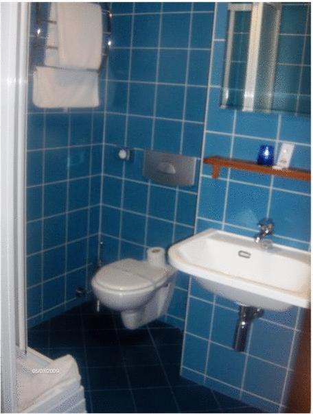Panzio Sissi Hotel Gödöllő Eksteriør billede